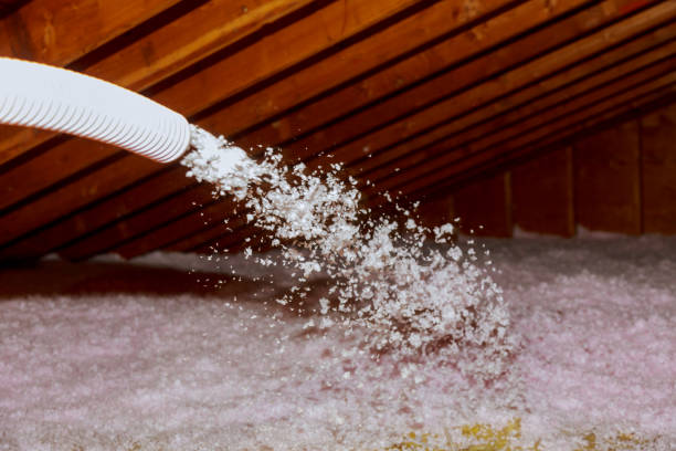 Best Insulation for Specific Applications in Stroville, CA