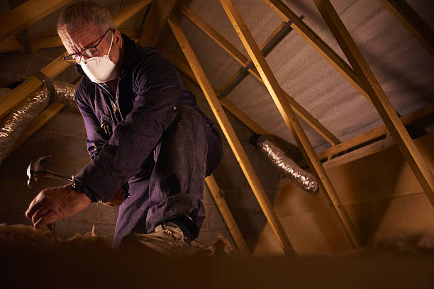 Best Insulation for Specific Applications in Stroville, CA